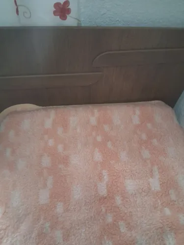 Vendo bicama 
