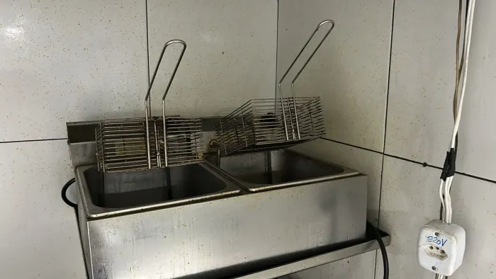 Vendo Fritadeira Elétrica 220V