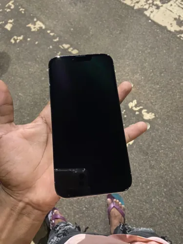 iPhone 13 Pro Max