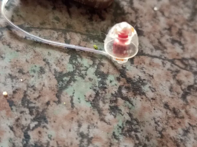 Aparelho de ouvido auricular
