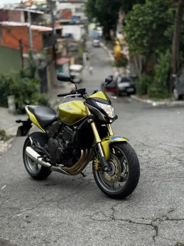 Hornet 2012