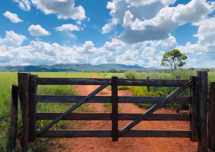 Chácara 6,5 Alqueires - Dom Roriz - Minaçu - Fazenda