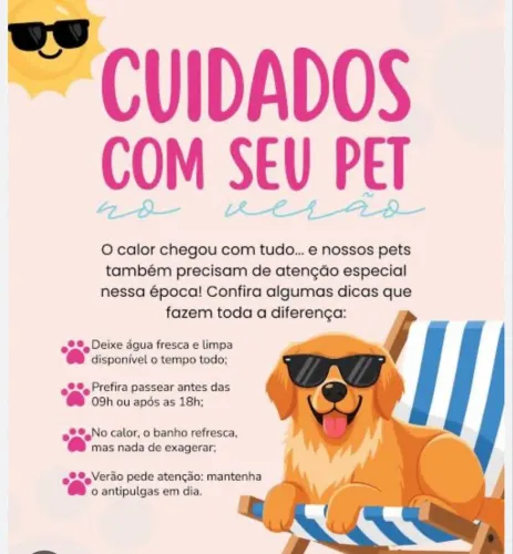 Deixe que eu cuido do seu cachorro para os passeios 
