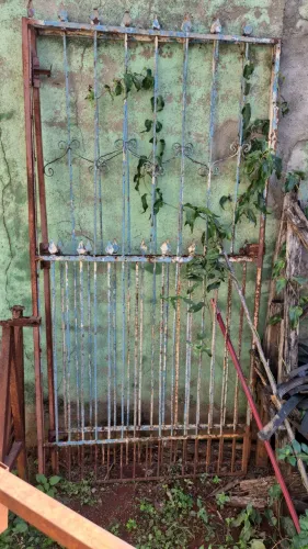 Vende Portão de ferro