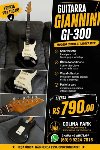 Guitarra Stratocaster Giannini GI 300