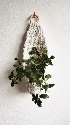 Suporte de parede p plantas em crochê 