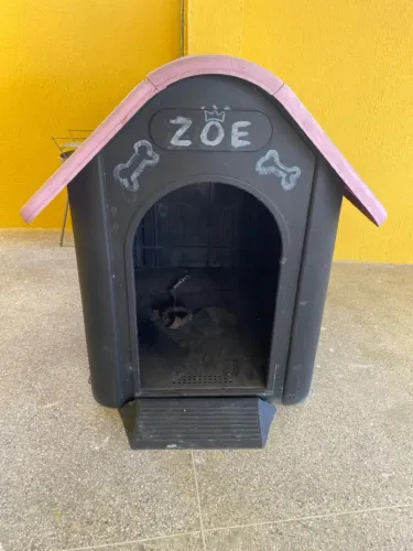 Casinha de cachorro