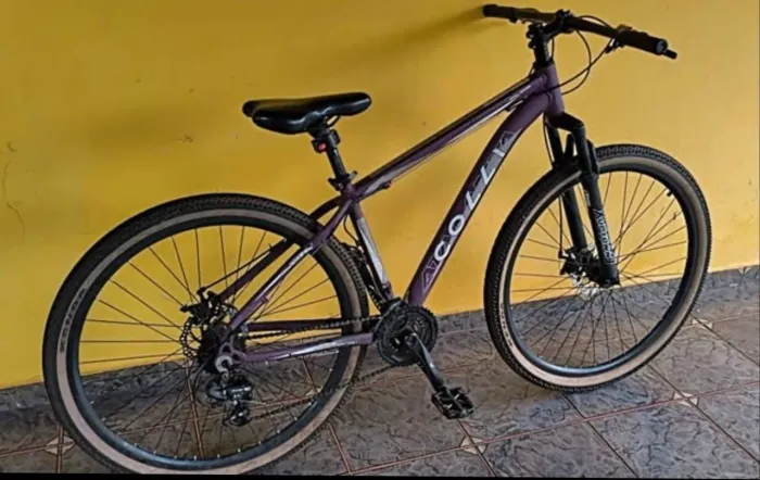 Bicicleta colli aro 29