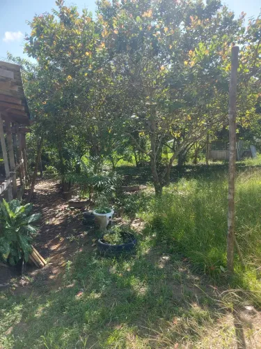 Vendo essa casa com esse terreno 100 de fundos e 60 de frente documentação em dias .