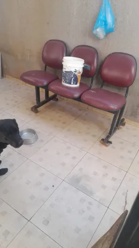 Doação cadeira/banco conjugado