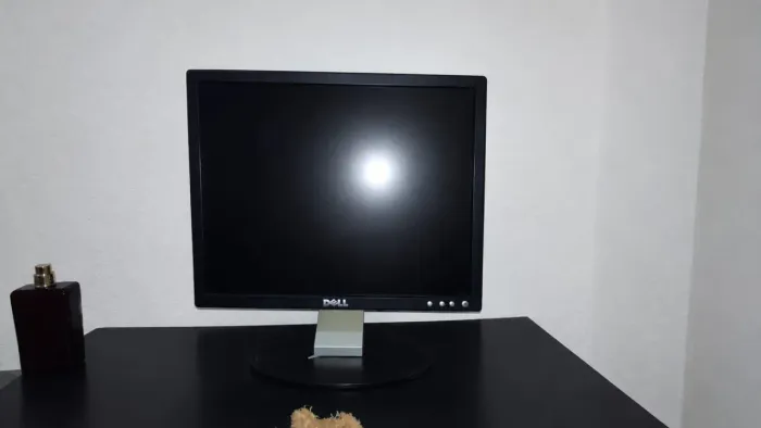 Monitor Dell 15 polegadas 75hz tela tn