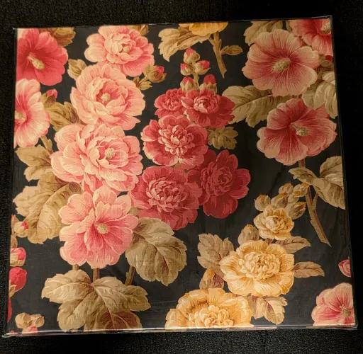 Disco de vinil  (LP) Mark Lanegan Band - Blues Funeral