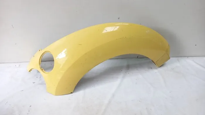 Paralama fusca new beetle 