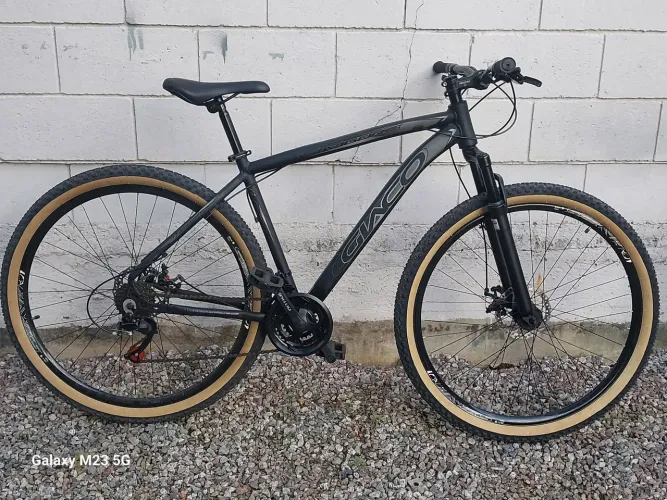Bicicleta Gwco 29