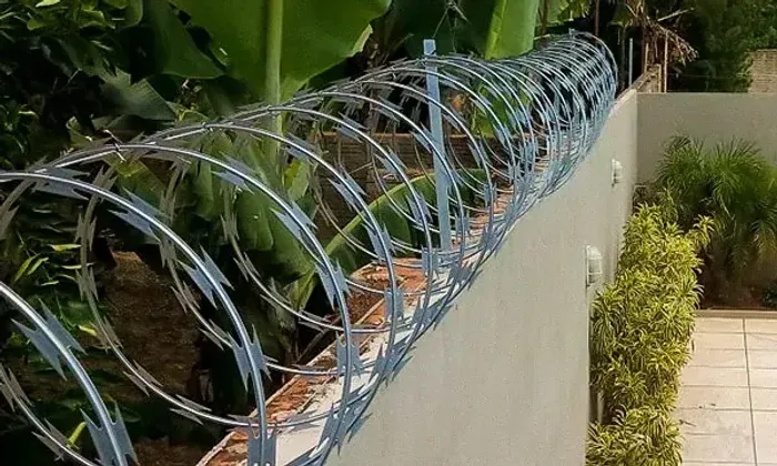 Concertina Galvanizada 30cm e 45cm Promoção