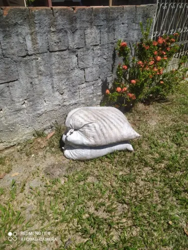 Adubo de galinha puro