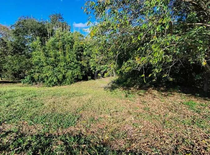 Terreno-À VENDA-Fazenda Santo Antonio das Paineiras-Morungaba-SP