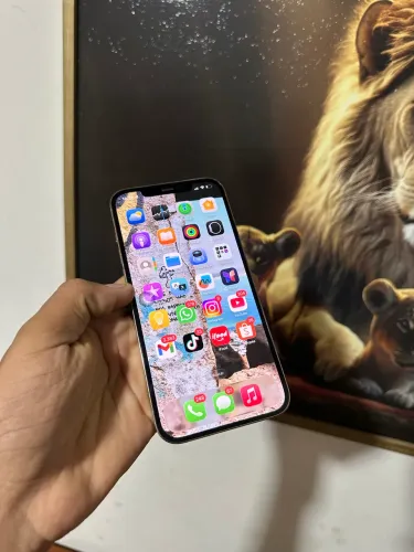 IPhone 12 Pro Max