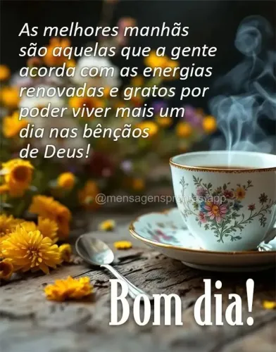 Faz tudo Marido de aluguel