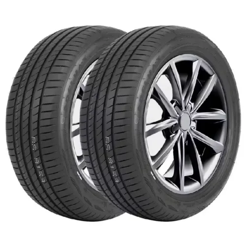 Pneus Delmax Ultimapro UP1 205/50R17 Aro17 93W