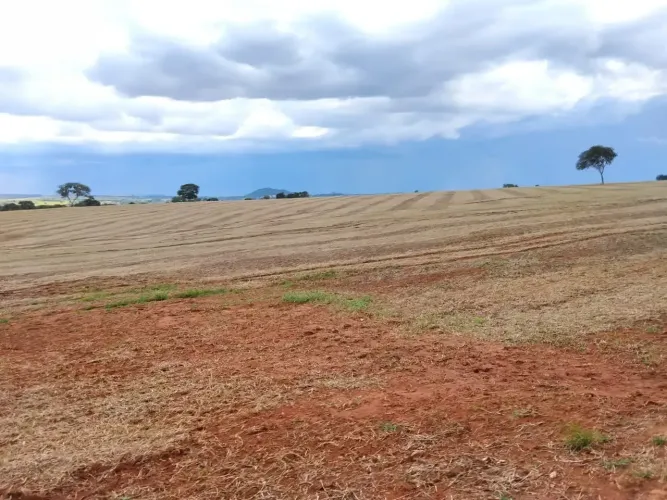 Fazenda a venda em Cezarina - Goiás!!!