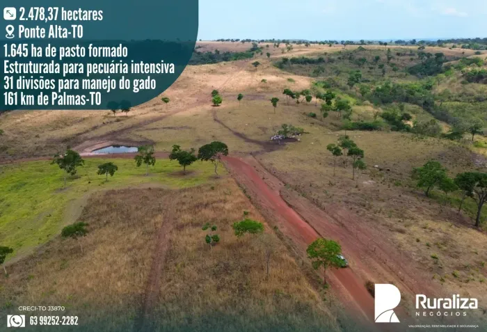 FAZENDA PECUÁRIA | 31 DIVISÕES | INVESTIMENTO R$ 52 MILHÕES