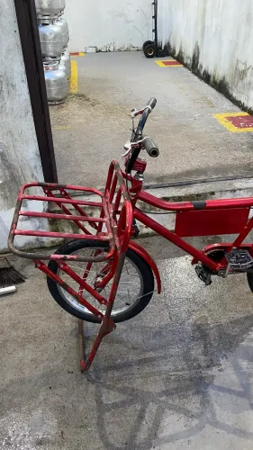 Bicicleta cargueira 