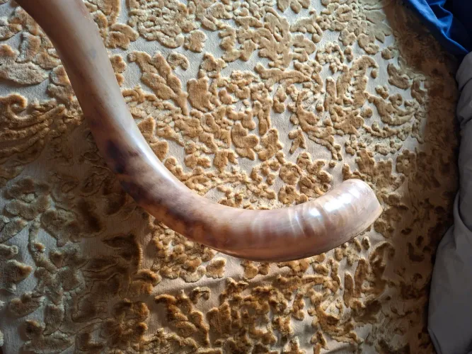 Shofar 