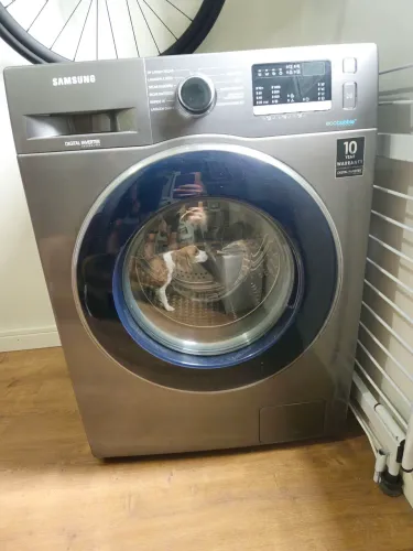 Lava e seca Samsung Wd11 11kg c/ Defeito eixo do tambor