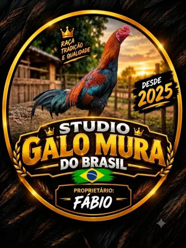 Galo indio porte medio