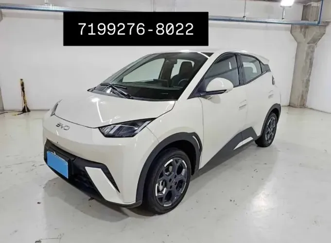 BYD Dolphin Mini (Elétrico) 2025