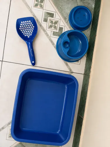 Kit Gato Azul Royal