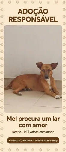 Doação fêmea 
