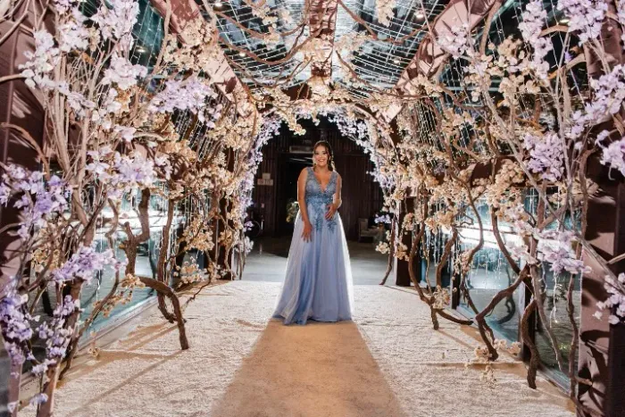 Vestido 15 anos duo bordado a mão