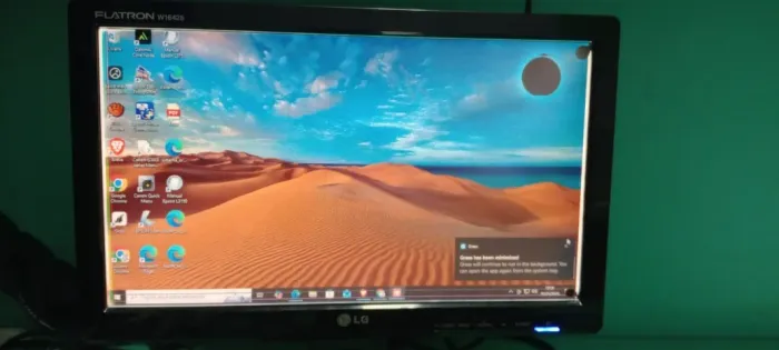 Monitor LG  W1642S