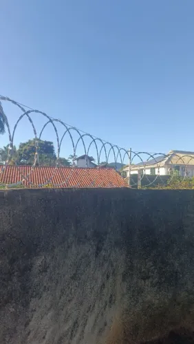 Concertina