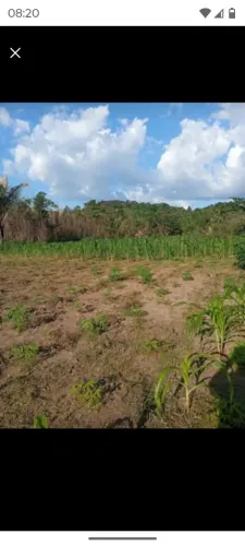 Vende terrenos na vicinal rio branco serra grande 1 município do canta medindo 40 por 150