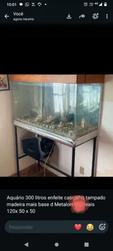 Aquário 300 litros 