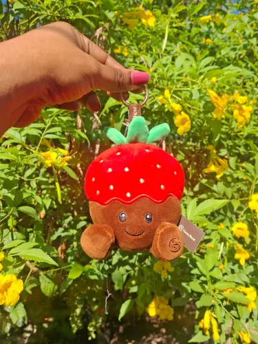 MOMÔ CHOCOMIGO