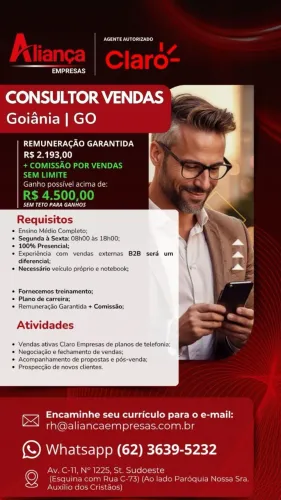 Vendedor interno e externo 