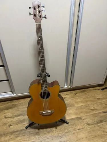 Baixolão acústico Strinberg 5 cordas - acompanha suporte