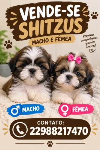 Shitzu
