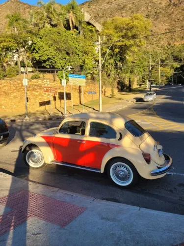 Volkswagen Fusca Fusca (gasolina) 1981