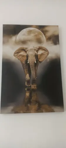 Quadro
