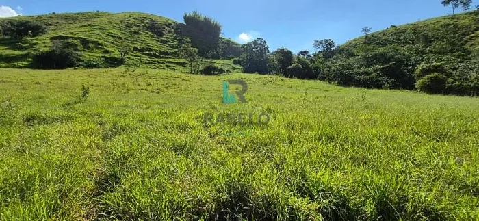 SÍTIO FORMADO EM PASTO À VENDA EM GUARATINGUETÁ-SP