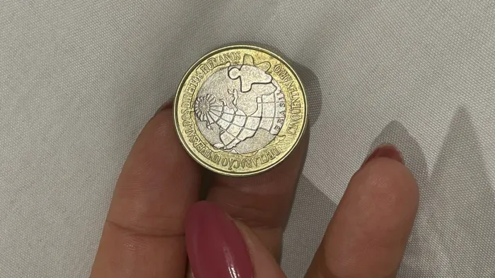 Item de colecionador 