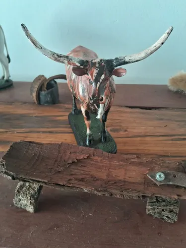 Touro Longhorn