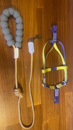 Peitoral em H e guia nova para cães de 3 a 9 kg