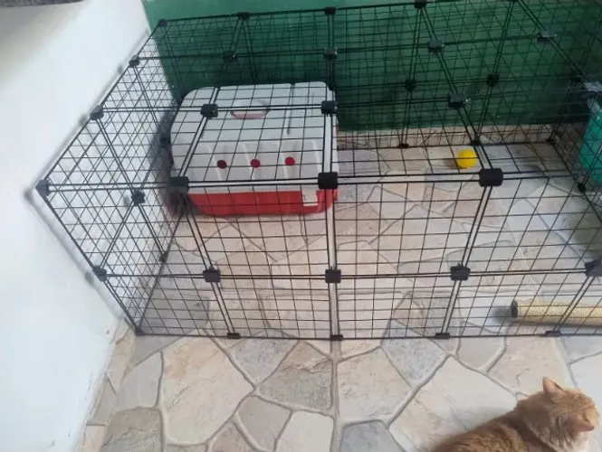 Vendo cercado para gato ou cachorro. Valor 299