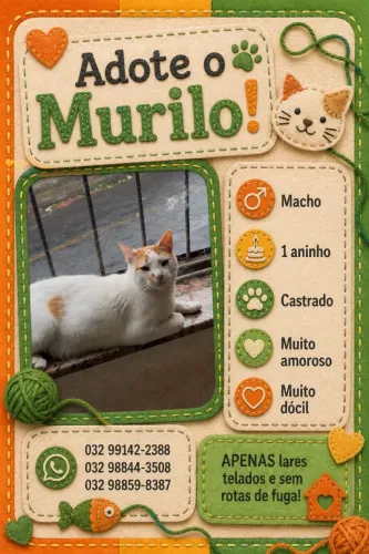 Doa se gato